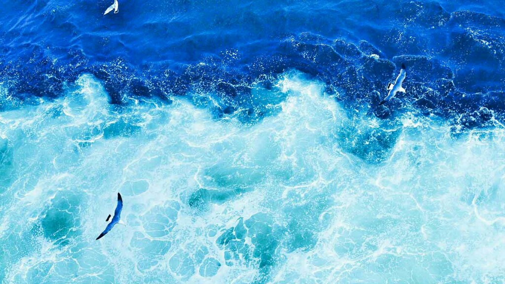 Picsart banner for @transcendent